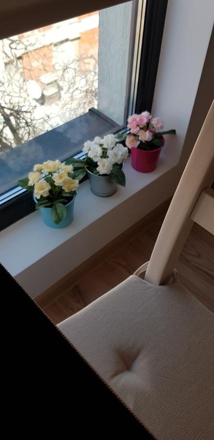 Studio Confort 3 Bukarest Exteriör bild